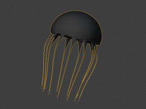 jelly fish jellyfish Modello 3D