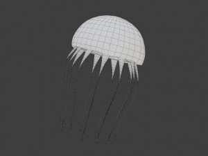 jelly fish jellyfish Modello 3D