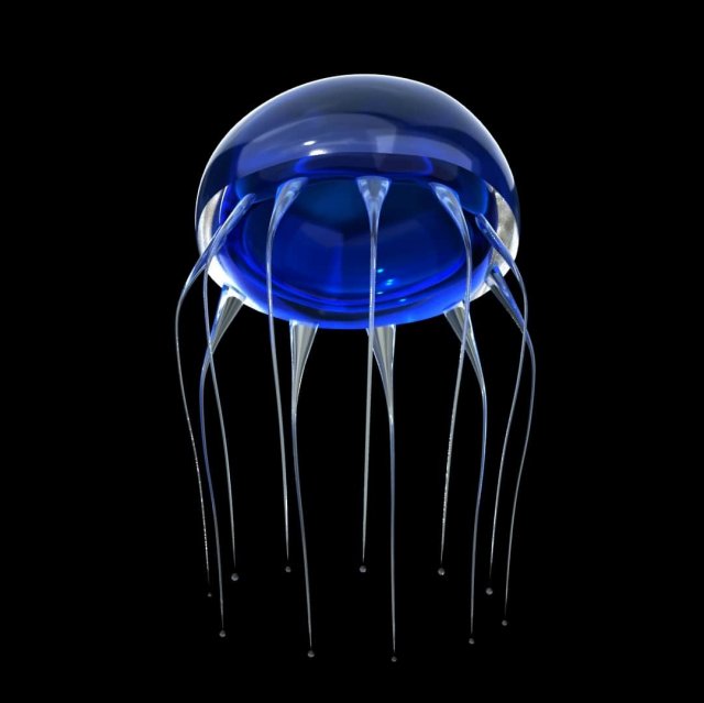 jelly fish jellyfish Model 3D .c4d .max .obj .3ds .fbx .stl .blend 