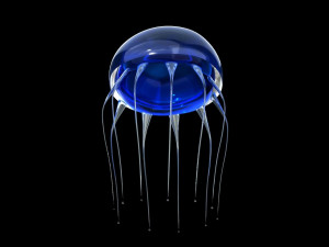 jelly fish jellyfish 3D Model