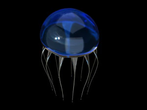 jelly fish jellyfish 3D Model