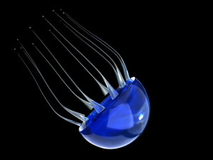 jelly fish jellyfish Model 3D