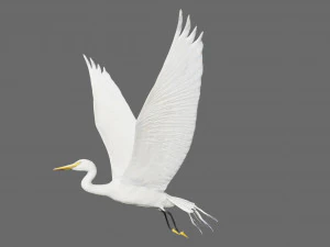 egret heron crane bird 3D Model