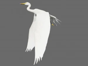 egret heron crane bird 3D Model