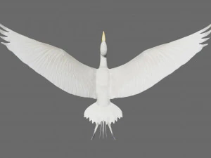 egret heron crane bird 3D Model