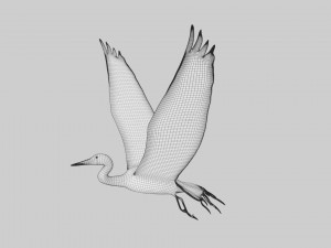 egret heron crane bird Model 3D