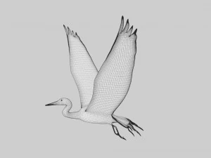 egret heron crane bird 3D Model