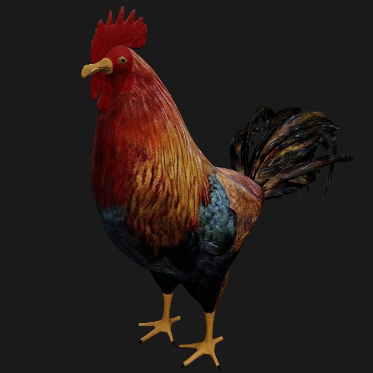rooster hen chicken bird 3D Model .c4d .max .obj .3ds .fbx .stl .blend 