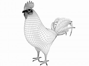 rooster hen chicken bird Model 3D