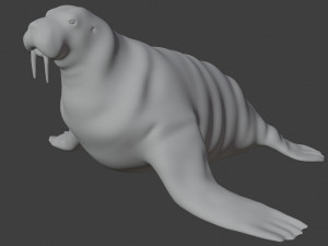 walrus seal 3D-Modell