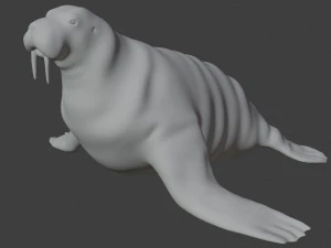 walrus seal 3D Model