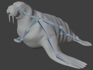 walrus seal 3D-Modell