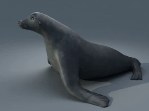 печатка 3D Модель