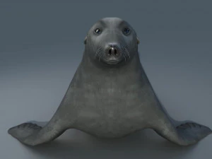 печатка 3D Модель