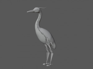 crane bird 3D Model
