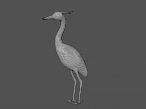 crane bird 3D Model