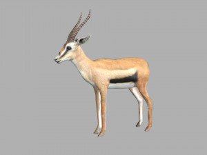 gazelle deer reindeer stag Model 3D