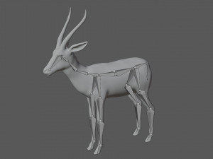 gazelle deer reindeer stag Model 3D