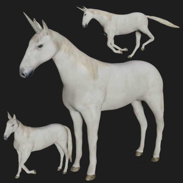 unicorn white horse fantasy monster mythological creature 3D मॉडल .c4d .max .obj .3ds .fbx .stl .blend 