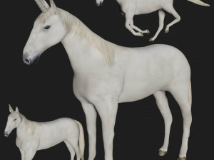 unicorn white horse fantasy monster mythological creature 3D Model