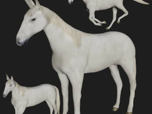 eenhoorn wit paard fantasie monster mythologisch wezen 3D Model