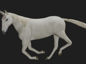 unicorn white horse fantasy monster mythological creature 3D Model