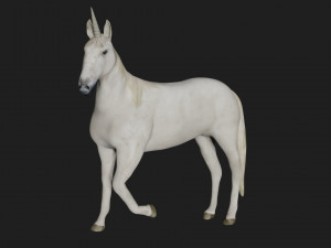 unicorn white horse fantasy monster mythological creature 3D मॉडल