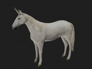 unicorn white horse fantasy monster mythological creature 3D मॉडल