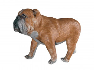 rigged bulldog bull dog 3D Model