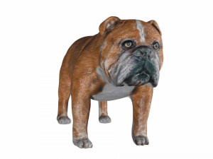 rigged bulldog bull dog 3D Model