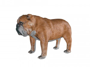 rigged bulldog bull dog 3D Model