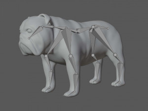 rigged bulldog bull dog 3D Model