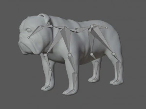 rigged bulldog bull dog 3D Model