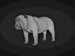 rigged bulldog bull dog 3D Model