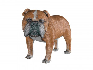 rigged bulldog bull dog 3D Model