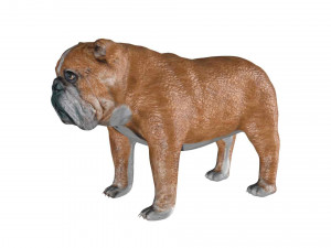 rigged bulldog bull dog 3D Model
