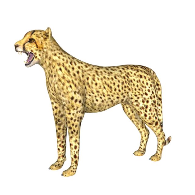 rigged cheetah 3D Модель .c4d .max .obj .3ds .fbx .stl .blend 