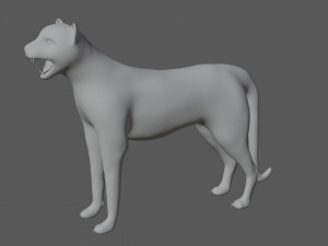 rigged cheetah 3D Модель