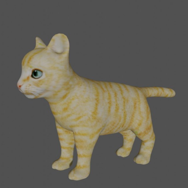 rigged kitten cat Model 3D .c4d .max .obj .3ds .fbx .stl .blend 