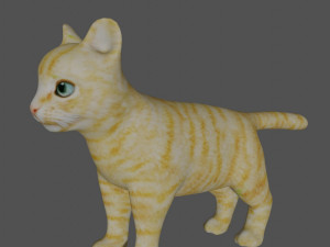 rigged kitten cat 3D Модель