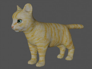 rigged kitten cat Model 3D