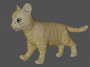 rigged kitten cat Model 3D