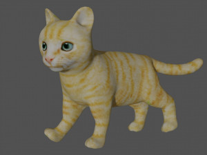 rigged kitten cat Model 3D