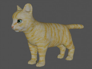 rigged kitten cat Model 3D