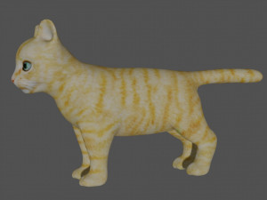 rigged kitten cat Model 3D