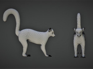 rigged lemur monkey Model 3D