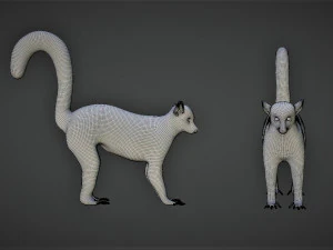 rigged lemur monkey 3D Model