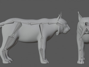 rigged lynx lion tiger cheetah leopard Modello 3D