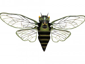 rigged cicada 3D 模型