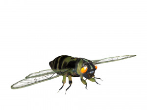 rigged cicada 3D 模型